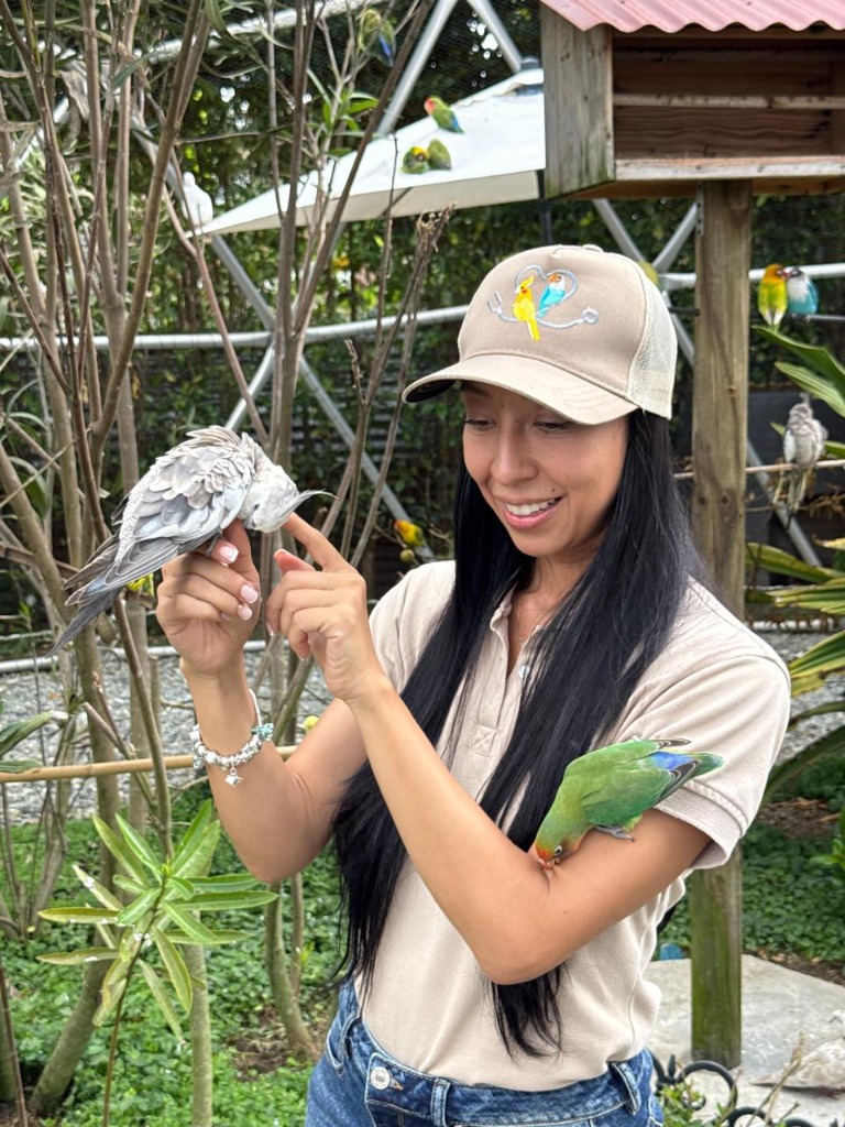 Dra. Isabel salvando aves
